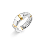 Pianegonda Ring - View 3