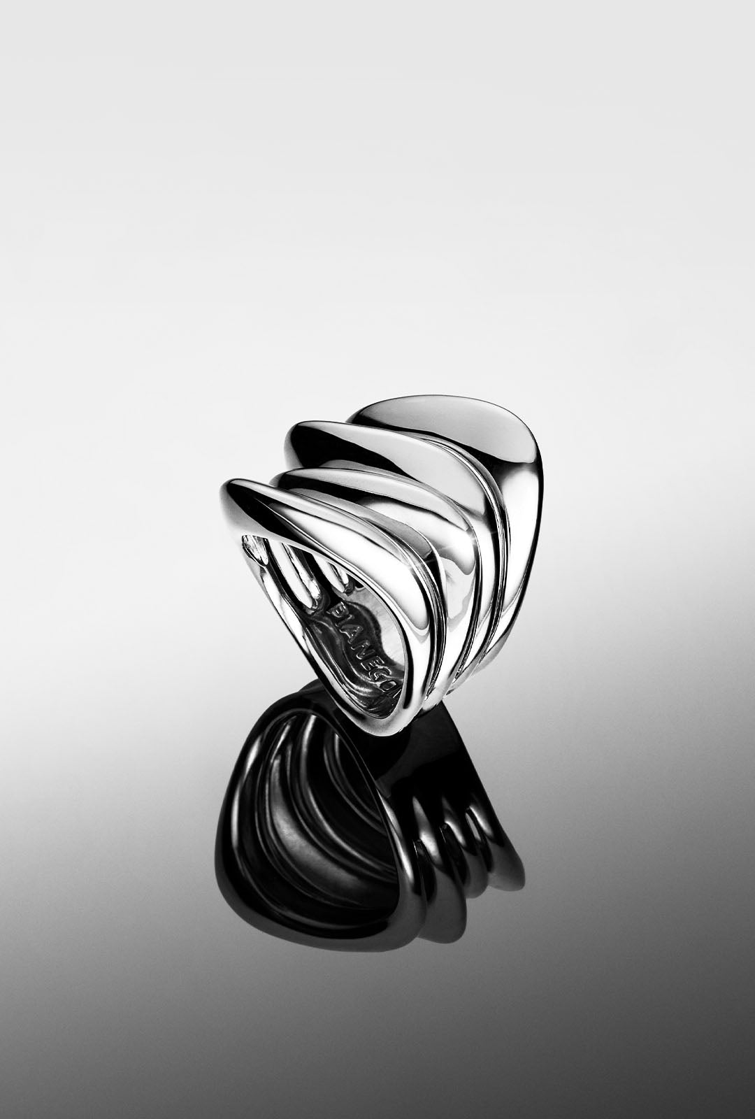 cat_anello_sep26_700x800_b0b0b272-64e7-4687-adbe-728ea71786b9 jpg