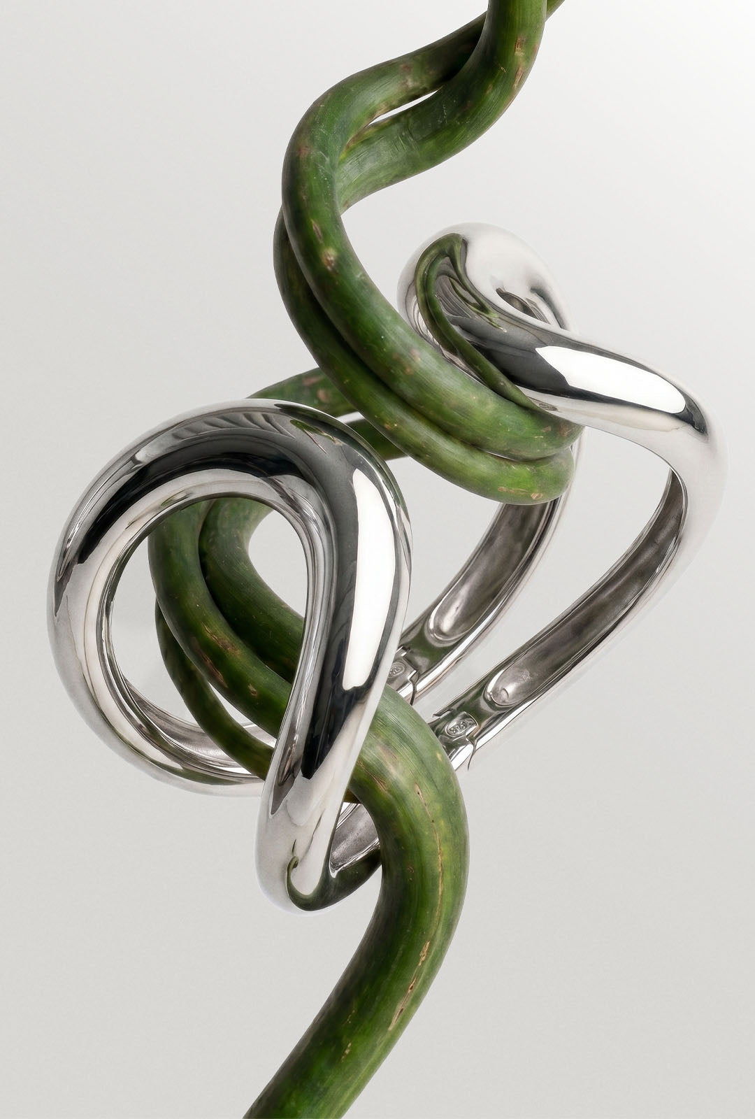cat_bracciali_forest_700x800_e7a1873a-30fc-4a1f-a106-fd8e70b89943 jpg